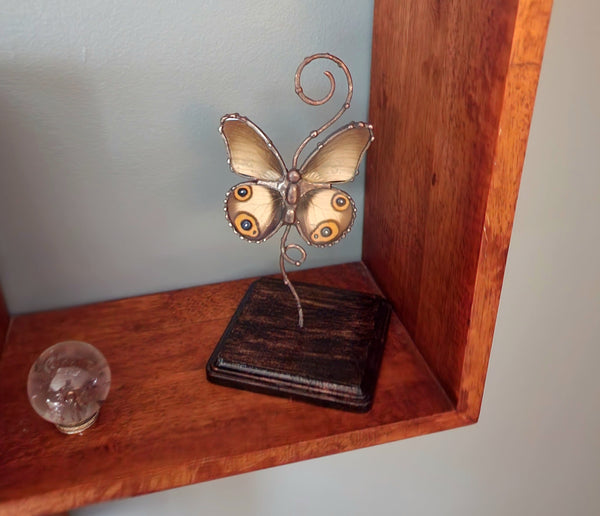 Grey Butterfly with Eyespots On Copper & Wood Stand