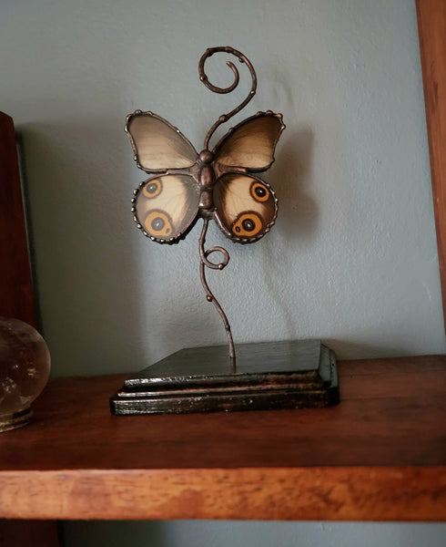 Grey Butterfly with Eyespots On Copper & Wood Stand