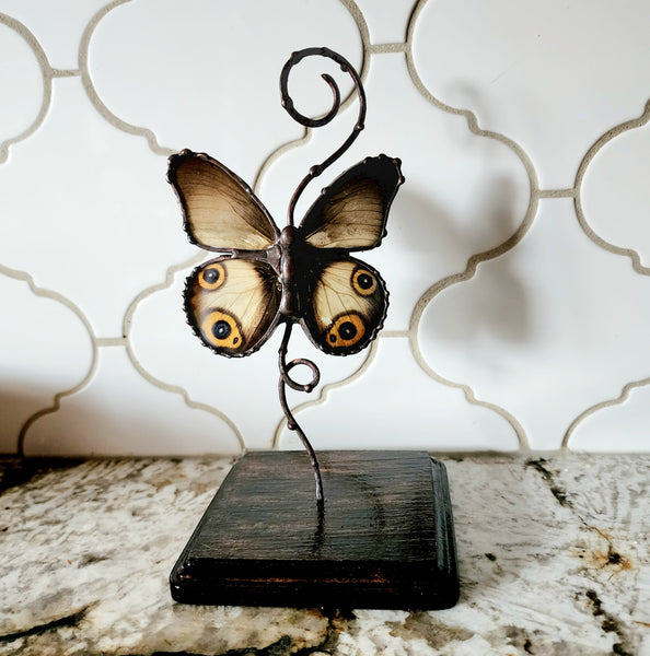 Grey Butterfly with Eyespots On Copper & Wood Stand