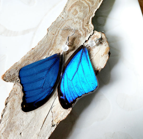 Blue Butterfly Wing Earrings, Morpho Butterfly Earrings