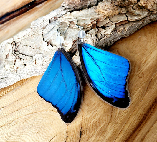 Morpho Menelaus Blue Forewing Sea Glass Earrings