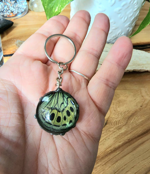 Green Butterfly Wing Keyring