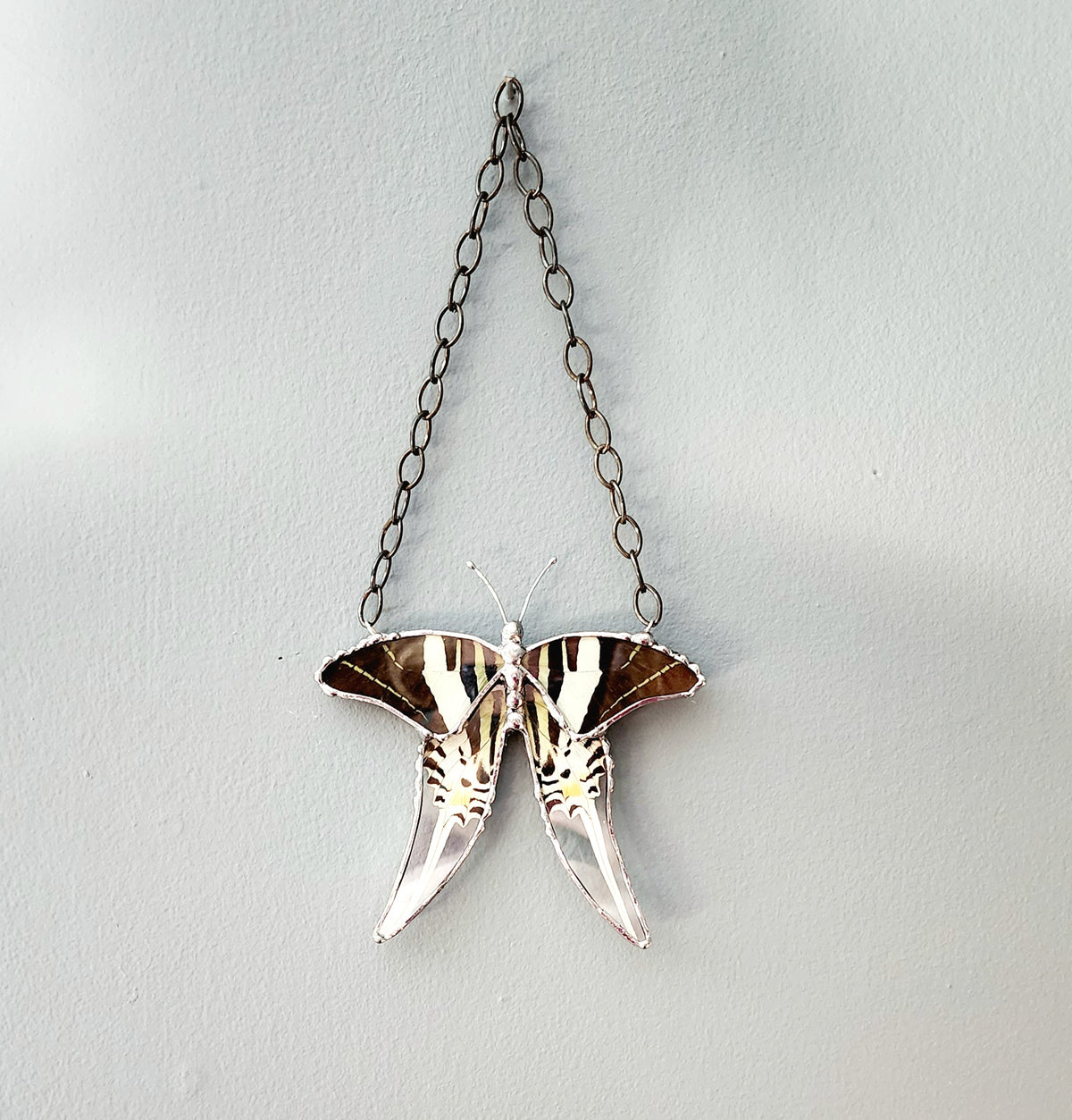 Hanging Decor Five-Bar Swallowtail Butterfly, Real Butterfly Decor