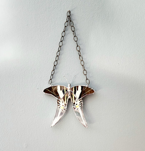 Hanging Decor Five-Bar Swallowtail Butterfly, Real Butterfly Decor
