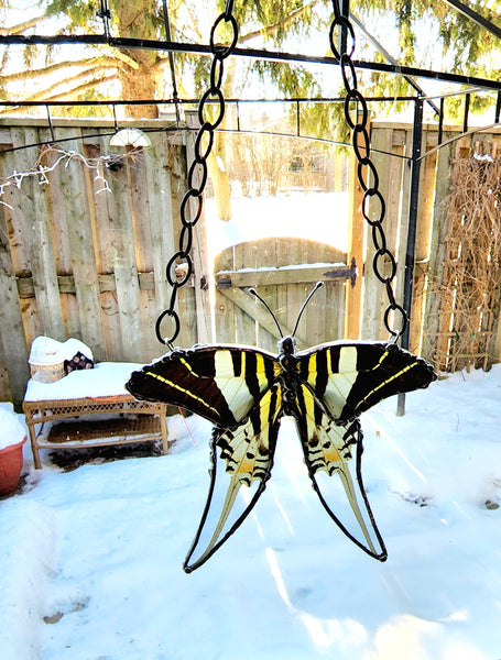 Hanging Decor Five-Bar Swallowtail Butterfly, Real Butterfly Decor