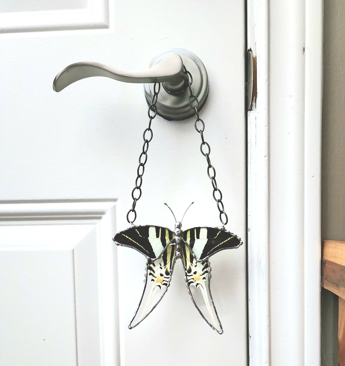 Hanging Decor Five-Bar Swallowtail Butterfly, Real Butterfly Decor