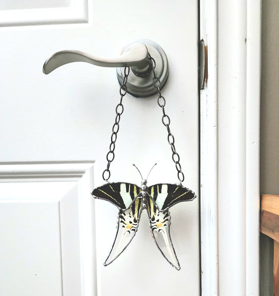 Hanging Decor Five-Bar Swallowtail Butterfly, Real Butterfly Decor