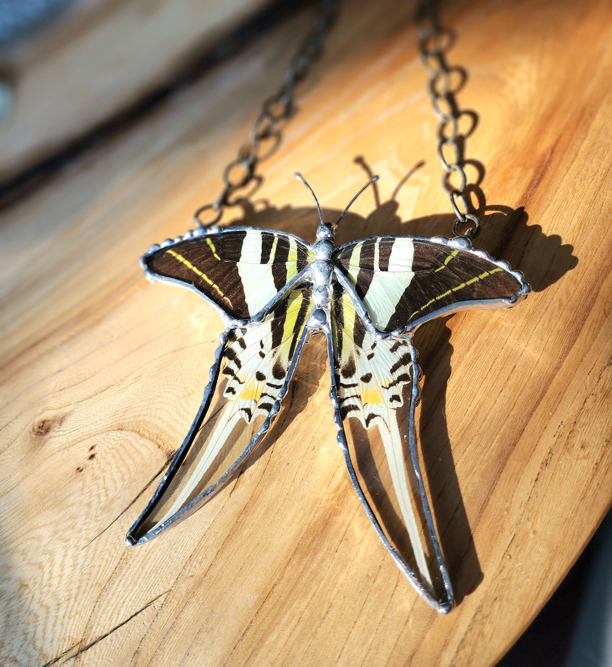 Hanging Decor Five-Bar Swallowtail Butterfly, Real Butterfly Decor
