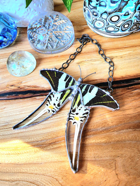 Hanging Decor Five-Bar Swallowtail Butterfly, Real Butterfly Decor