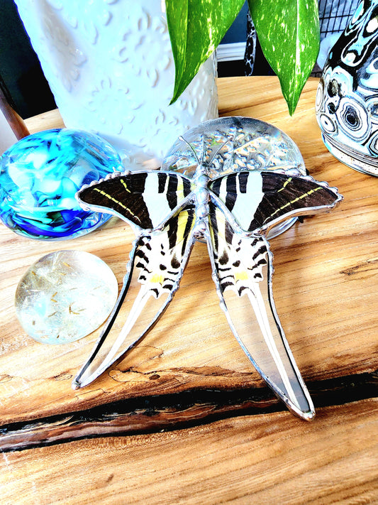 Hanging Decor Five-Bar Swallowtail Butterfly, Real Butterfly Decor