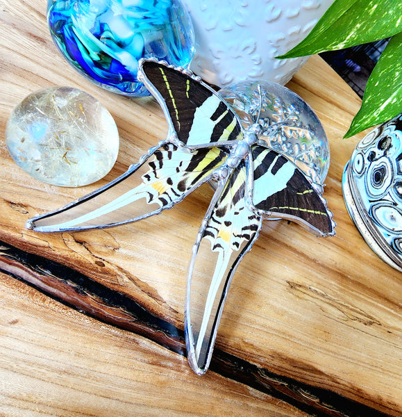 Hanging Decor Five-Bar Swallowtail Butterfly, Real Butterfly Decor