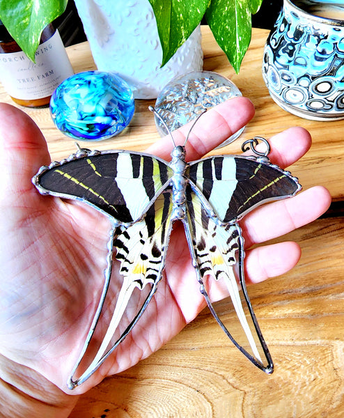 Hanging Decor Five-Bar Swallowtail Butterfly, Real Butterfly Decor