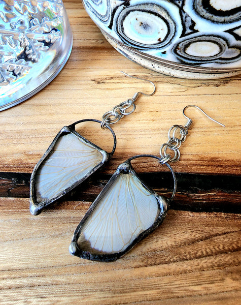 Cicada Wing Glass Earrings