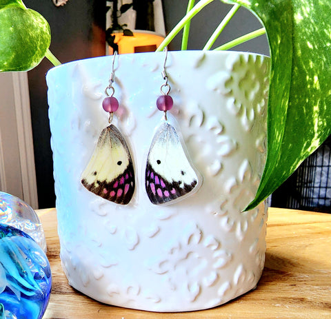Purple Tip Butterfly Wing Earrings, Colotiss ione Butterfly Earrings