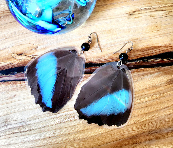 Black & Blue Butterfly Wing Earrings, Morpho Achilles Fagardi Butterfly