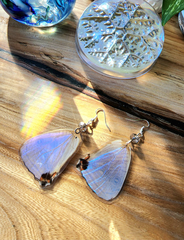 Lavendar Butterfly Wing Earrings, Morpho Sulkoskyi Butterfly Earrings