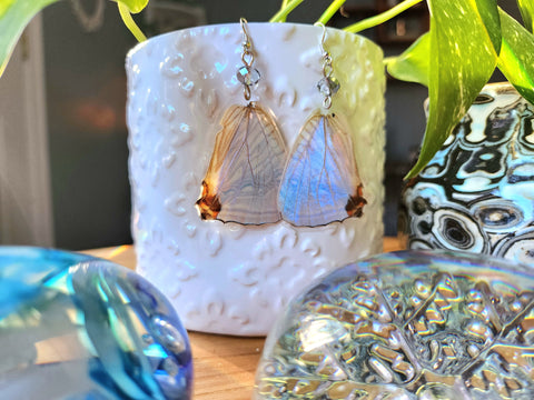 Morpho Sulkowskyi Butterfly Wing Earrings, Real Lavendar Butterfly Earrings