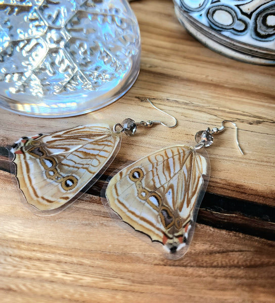 Morpho Sulkowskyi Butterfly Wing Earrings, Real Lavendar Butterfly Earrings