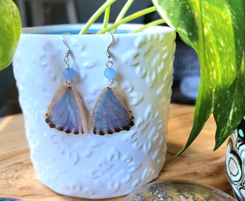 Morpho Portis Butterfly Earrings, Iridescent Blue Butterfly Earrings