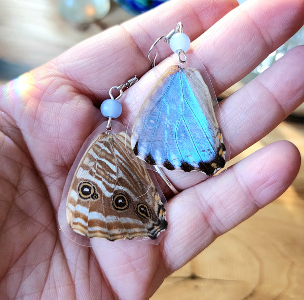 Morpho Portis Butterfly Earrings, Iridescent Blue Butterfly Earrings