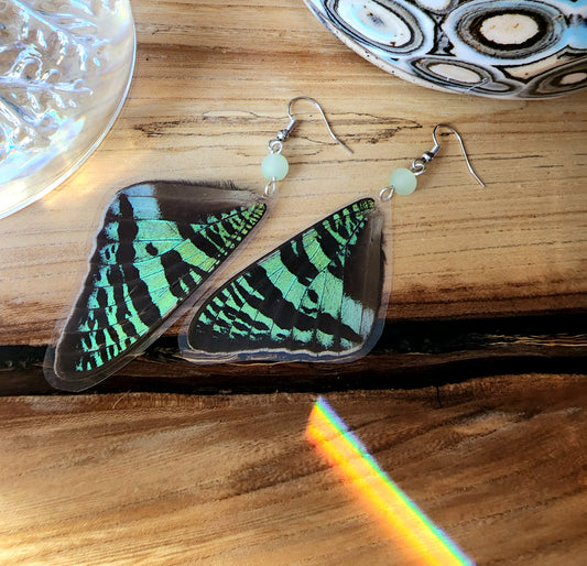 Madagascan Sunset Moth Green-and-Black Forewing Earrings