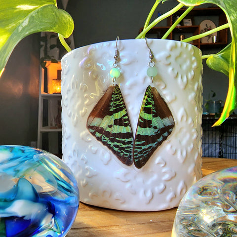 Madgascan Sunset Moth Earrings, Green and Black Moth Earrings