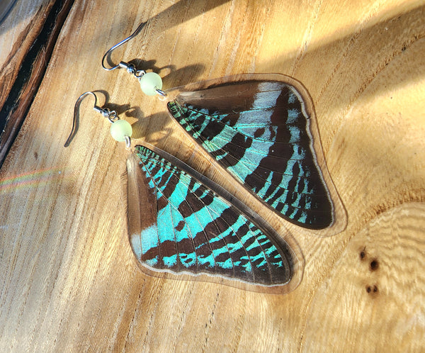 Madgascan Sunset Moth Earrings, Green and Black Moth Earrings