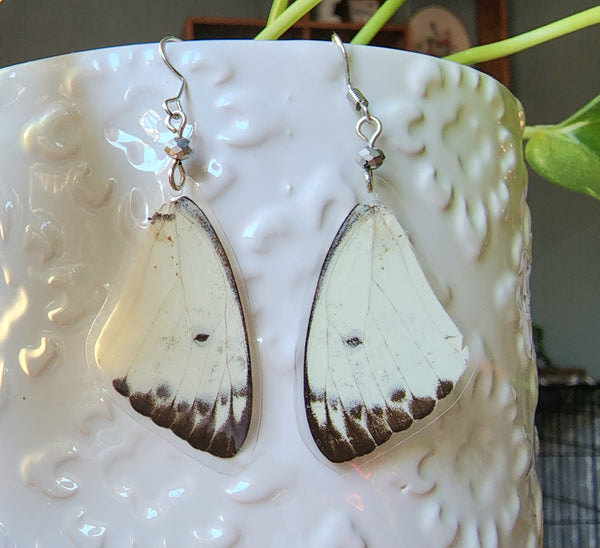 British Butterfly Wing Earrings, Pieris brassicae Butterfly Earrings