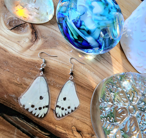 British Butterfly Wing Earrings, Pieris brassicae Butterfly Earrings