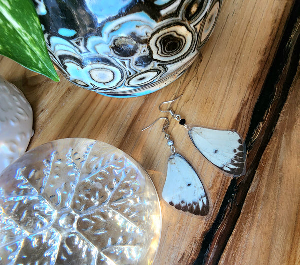 British Butterfly Wing Earrings, Pieris brassicae Butterfly Earrings