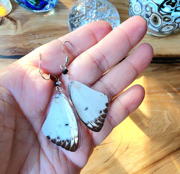 British Butterfly Wing Earrings, Pieris brassicae Butterfly Earrings