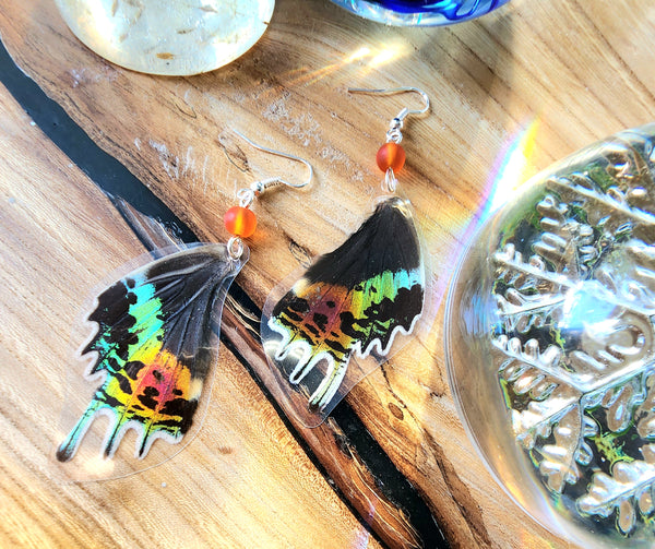 Rainbow Moth Earrings, Madagascan Sunset Moth Earrings