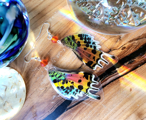 Rainbow Moth Earrings, Madagascan Sunset Moth Earrings