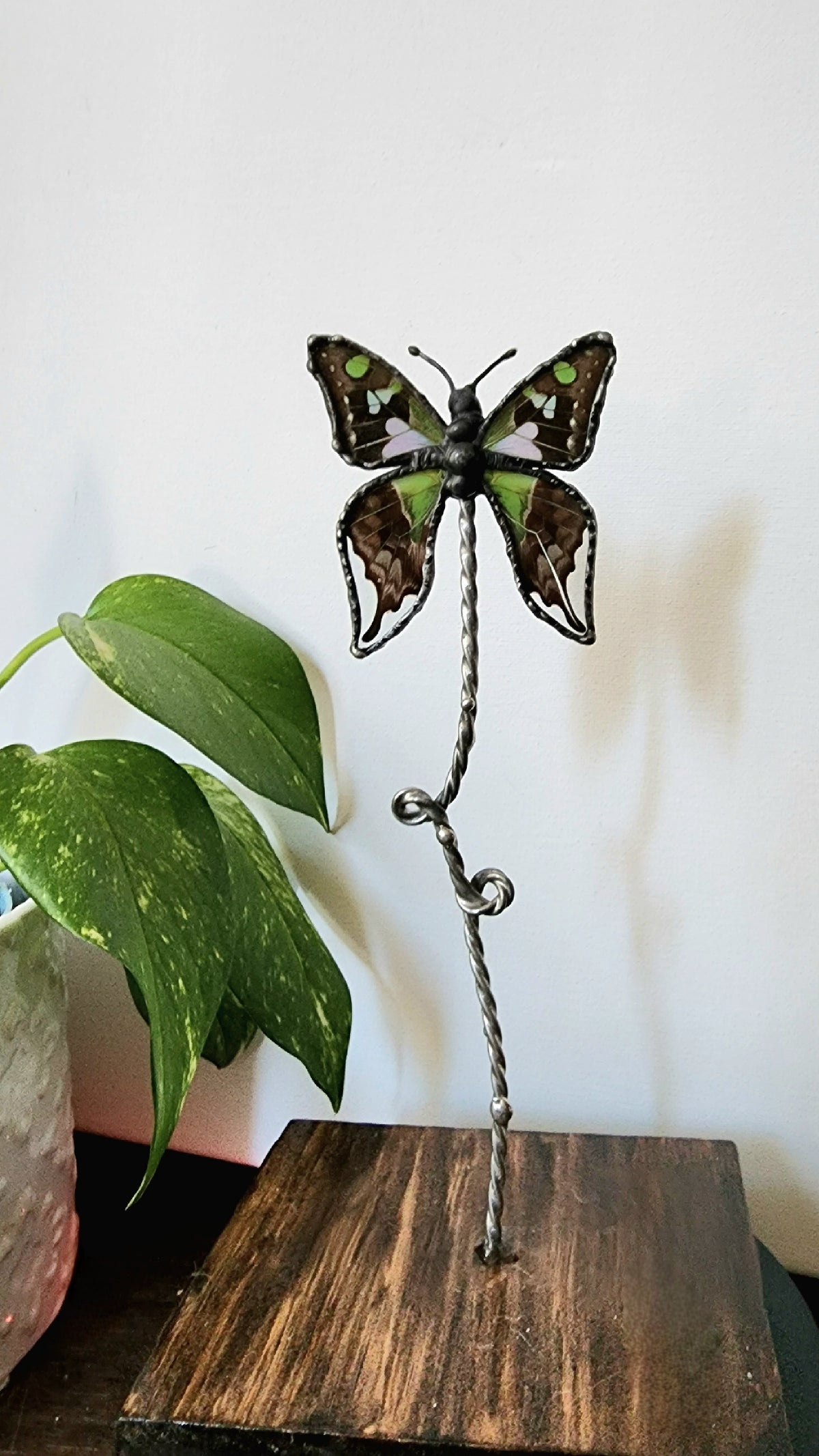 Purple Spotted Swallowtail Butterfly Stand Decor, Real Butterfly Wing Home Decor, Nature Art