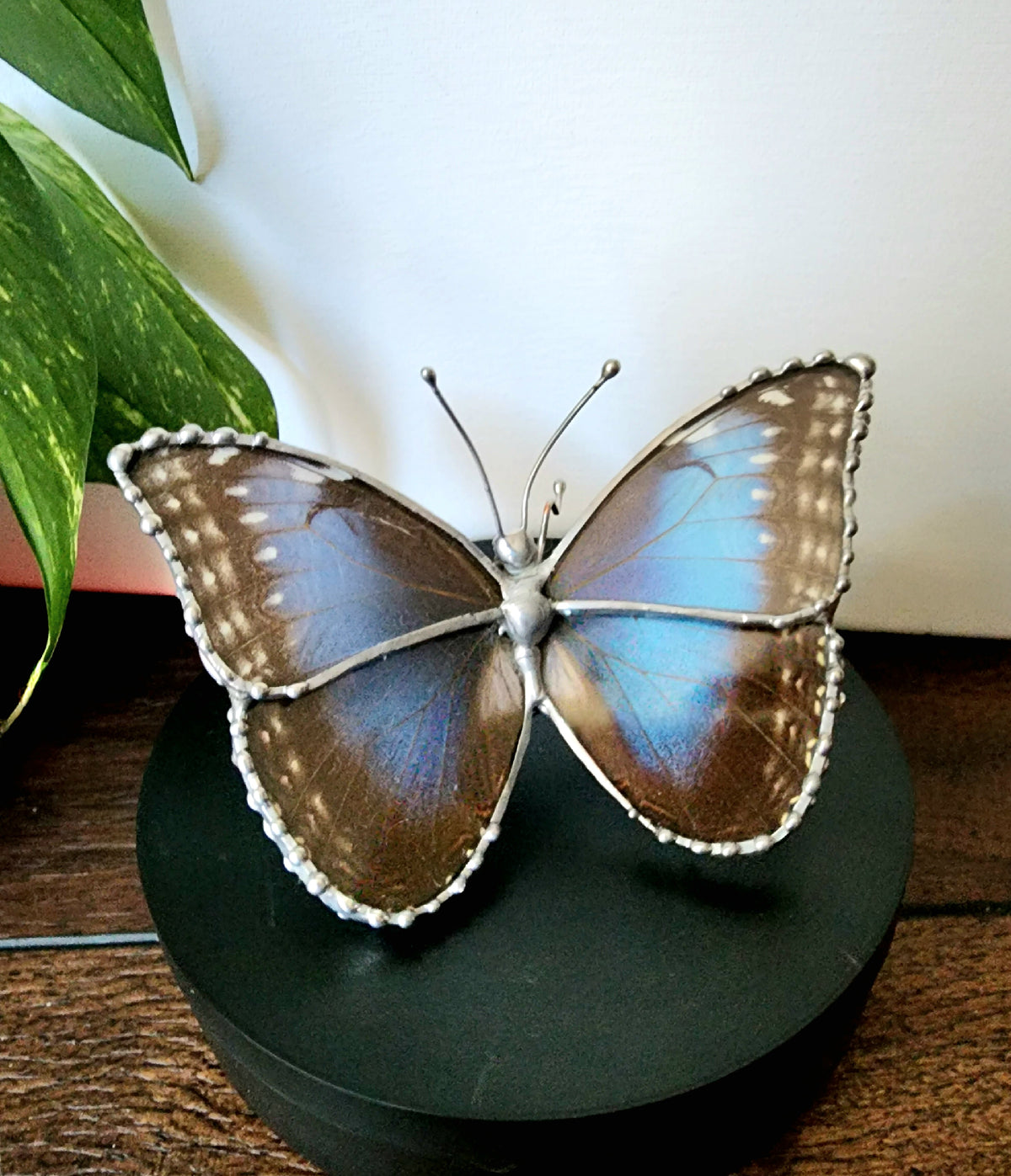 Morpho Peleides Butterfly Wing Glass Figurine