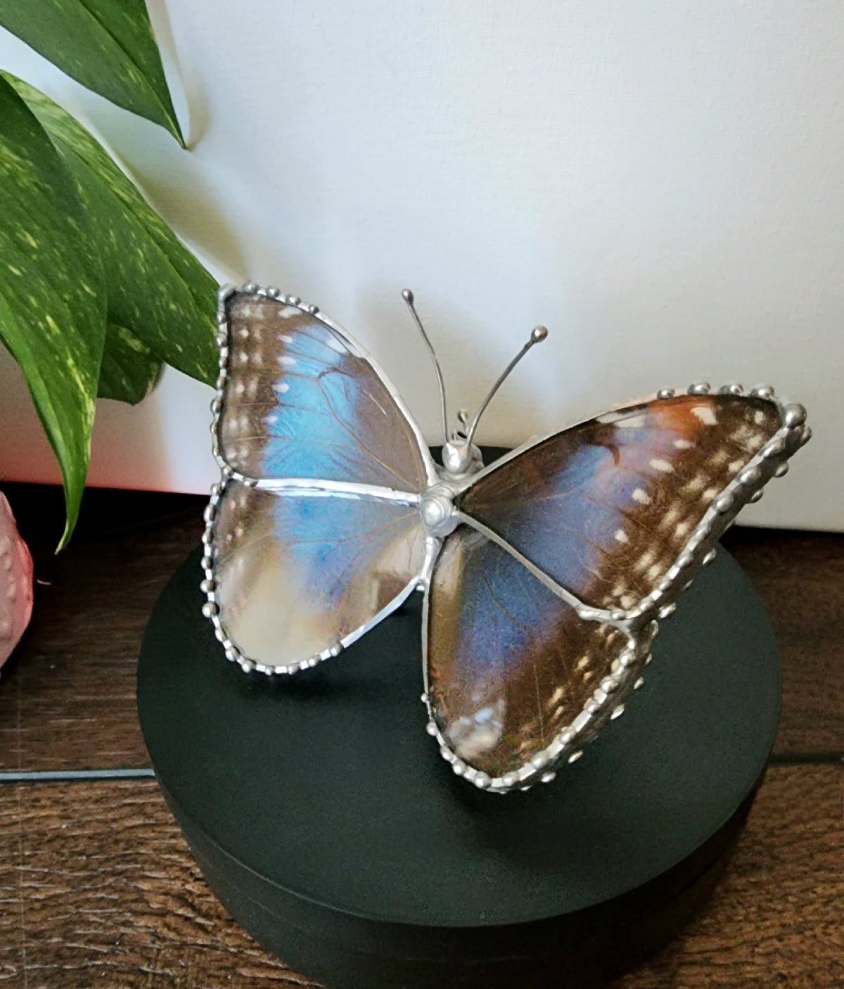 Morpho Peleides Butterfly Wing Glass Figurine