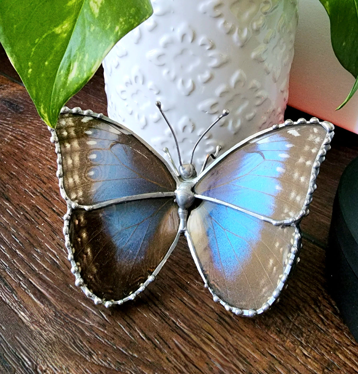 Morpho Peleides Butterfly Wing Glass Figurine