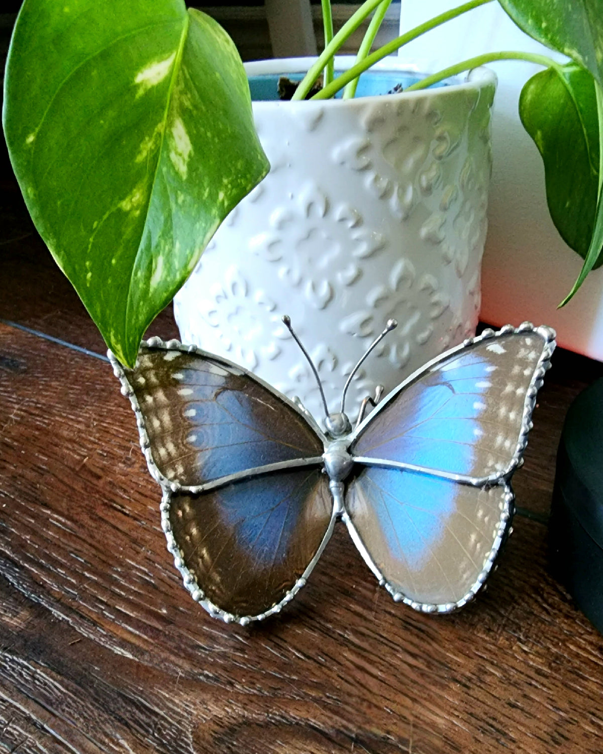 Morpho Peleides Butterfly Wing Glass Figurine