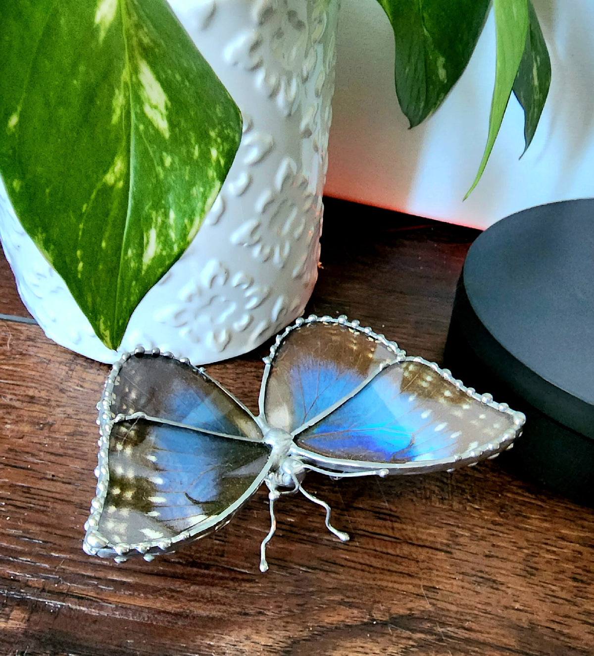 Morpho Peleides Butterfly Wing Glass Figurine