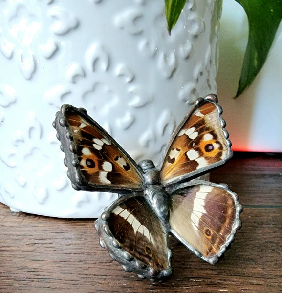 Purple Emperor Butterfly Figurine, Real Butterfly Statue