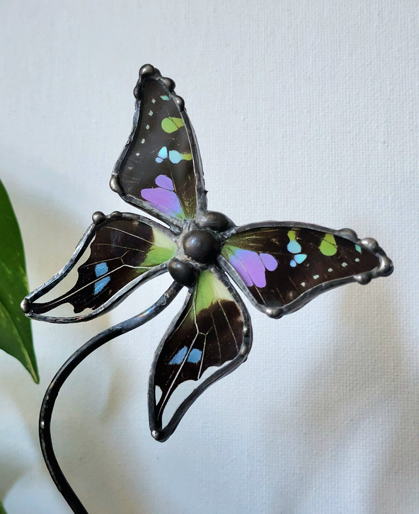 Black & Purple Butterfly on Metal Wood & Stand