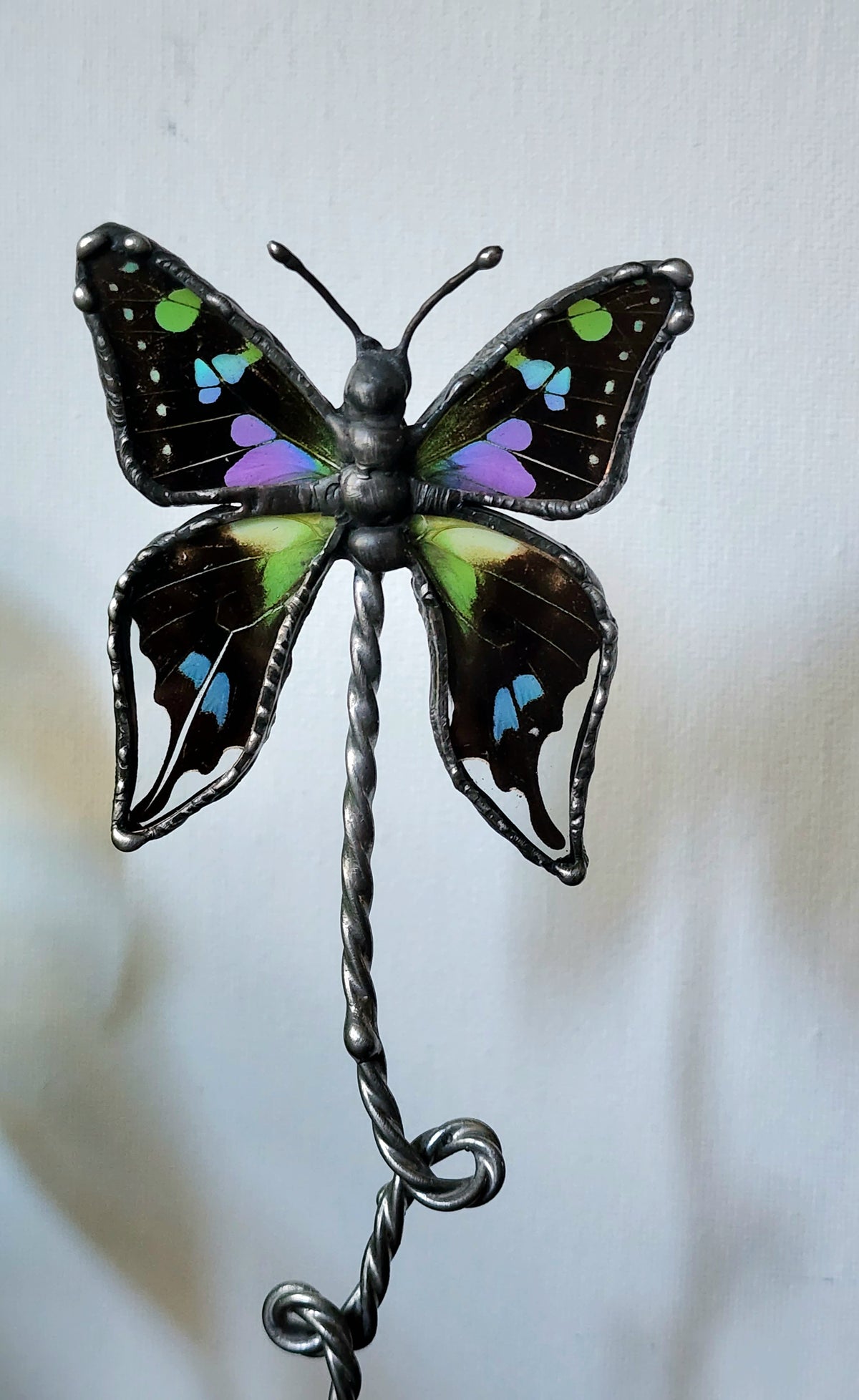 Purple Spotted Swallowtail Butterfly Stand Decor, Real Butterfly Wing Home Decor, Nature Art
