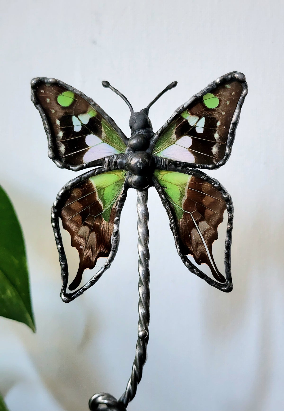 Purple Spotted Swallowtail Butterfly Stand Decor, Real Butterfly Wing Home Decor, Nature Art
