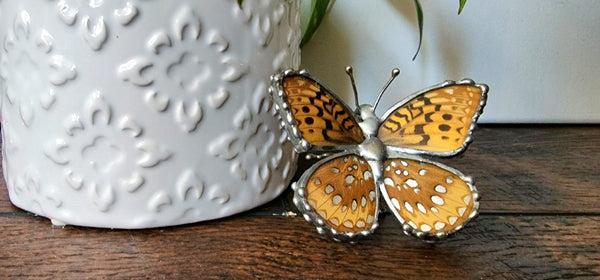 Tan & Metallic Silver-Spotted Butterfly Statue, Great spangled Fritillary Butterfly, Speyeria cybele