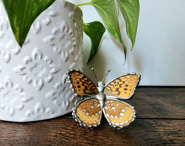 Tan & Metallic Silver-Spotted Butterfly Statue, Great spangled Fritillary Butterfly, Speyeria cybele