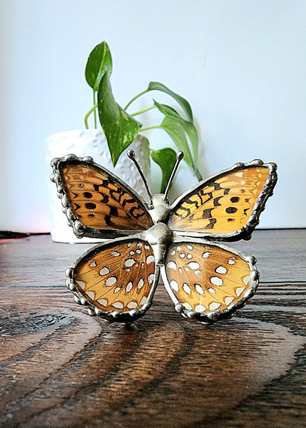 Tan & Metallic Silver-Spotted Butterfly Statue, Great spangled Fritillary Butterfly, Speyeria cybele