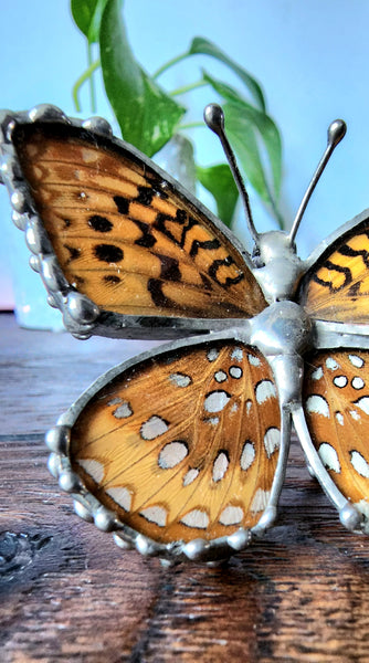 Tan & Metallic Silver-Spotted Butterfly Statue, Great spangled Fritillary Butterfly, Speyeria cybele