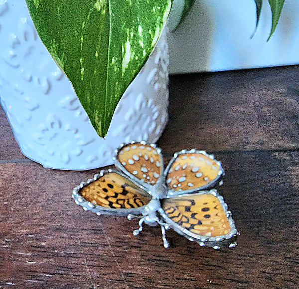Tan & Metallic Silver-Spotted Butterfly Statue, Great spangled Fritillary Butterfly, Speyeria cybele
