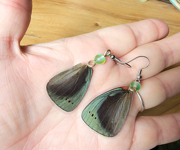 Asterope Optima Butterfly Wing Earrings, Green & Blue Butterfly Earrings