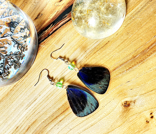 Asterope Optima Butterfly Wing Earrings, Green & Blue Butterfly Earrings